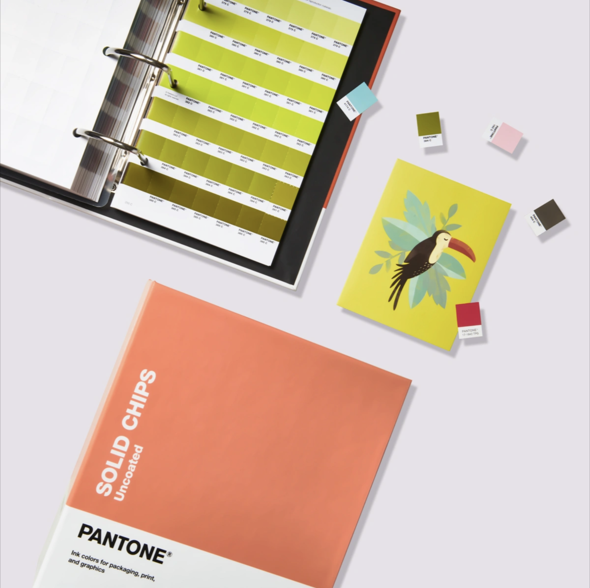 TPG PANTONE SOLID CHIPS | COATED & UNCOATED