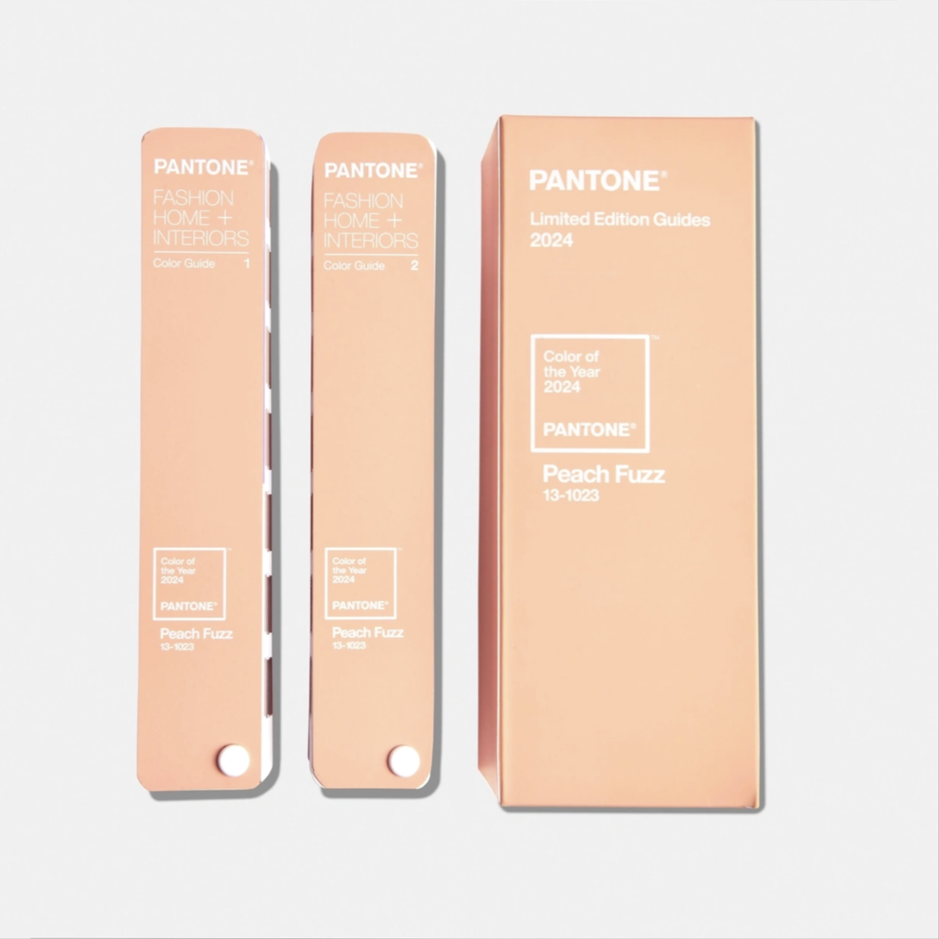 TPG COLOR GUIDE, LIMITED EDITION COLOR OF THE YEAR 2024