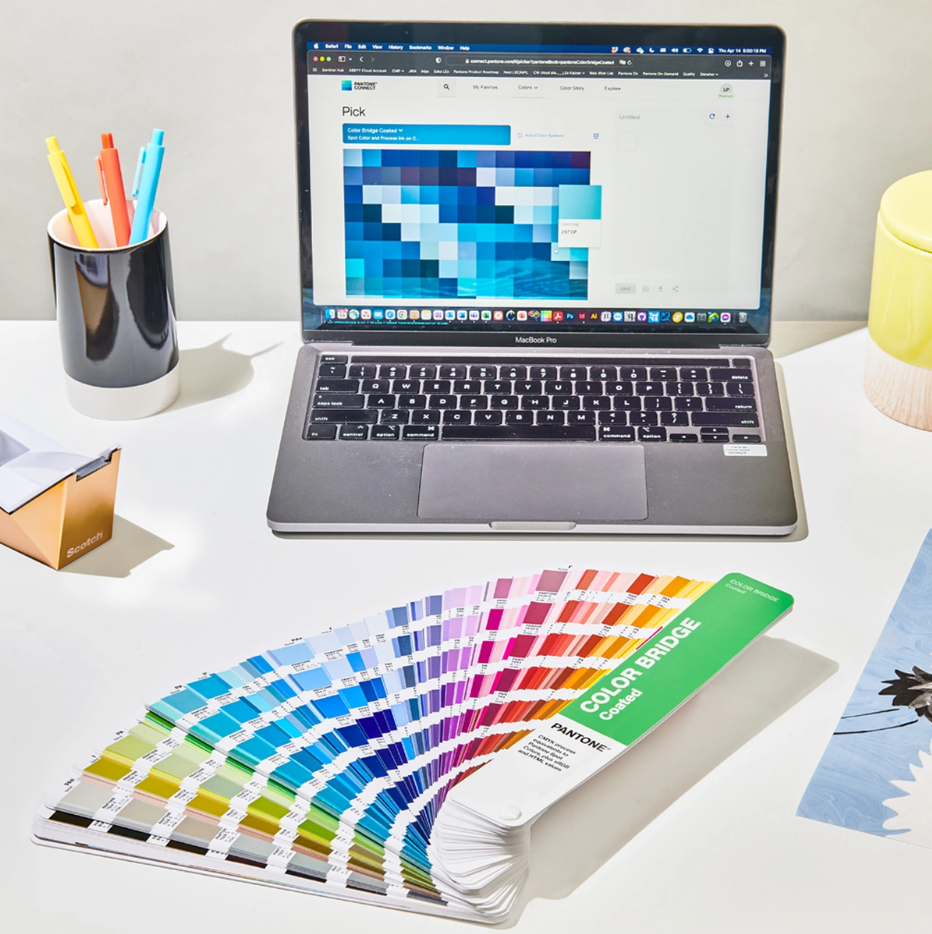 TPG COLOR BRIDGE GUIDE COATED