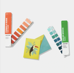 COATED COMBO-FORMULA GUIDE & COLOR BRIDGE | COATED