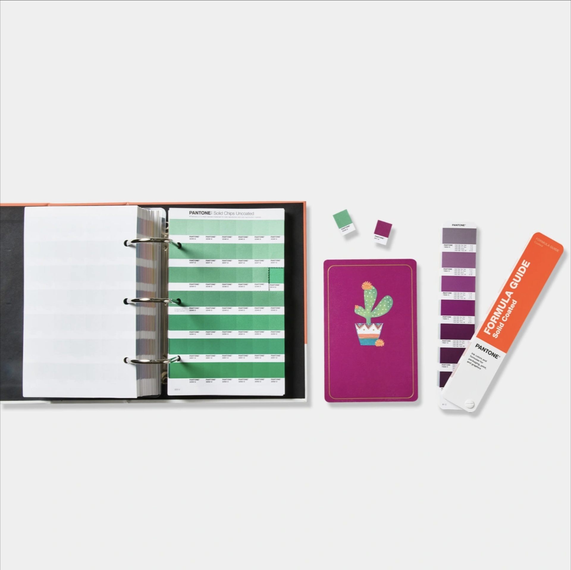 TPG SOLID COLOR SET- FORMULA GUIDE & SOLID CHIPS | COATED & UNCOATED