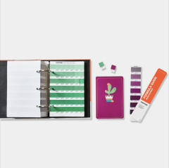 TPG SOLID COLOR SET- FORMULA GUIDE & SOLID CHIPS | COATED & UNCOATED
