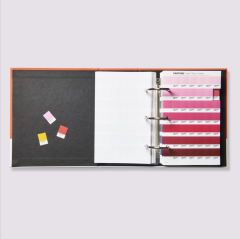 TPG PANTONE SOLID CHIPS | COATED & UNCOATED