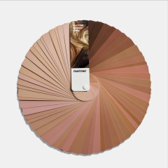TPGPANTONE LIMITED EDITION SKINTONE GUIDE