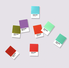 TPG PANTONE SOLID CHIPS SUPPLEMENT | COATED & UNCOATED