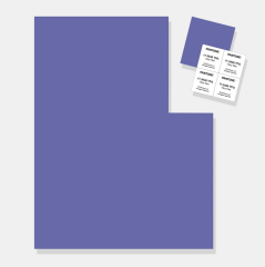 LARGE PAPER SWATCH (TPG SHEET) - PANTONE COLOR OF THE YEAR 2022 17-3938TPG
