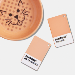PLASTIC CHIP PANTONE COLOR OF THE YEAR 2024, 13-1023 PEACCH FUZZ