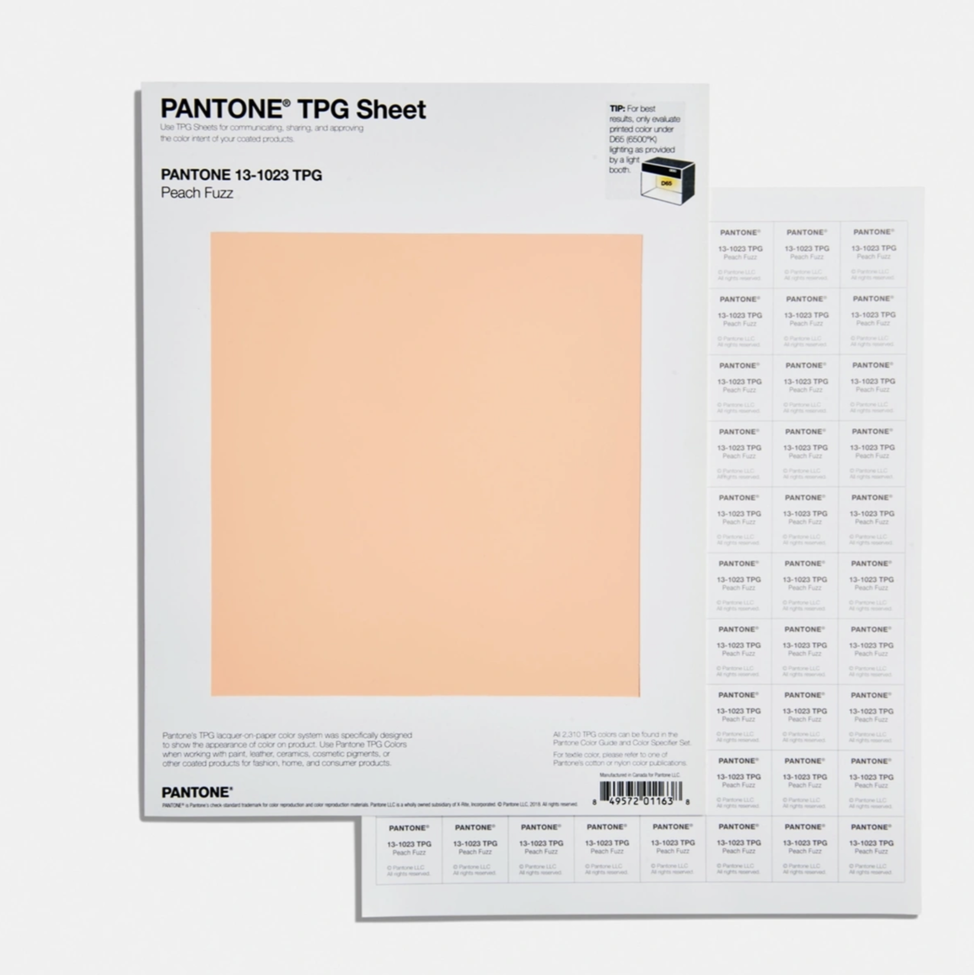 TPG LARGE PAPER SWATCHES (TPG SHEETS), PANTONE COLOR OF THE YEAR 2024